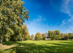in de buurt - park de hogenkamp-1-hires-VRO-20190423123847